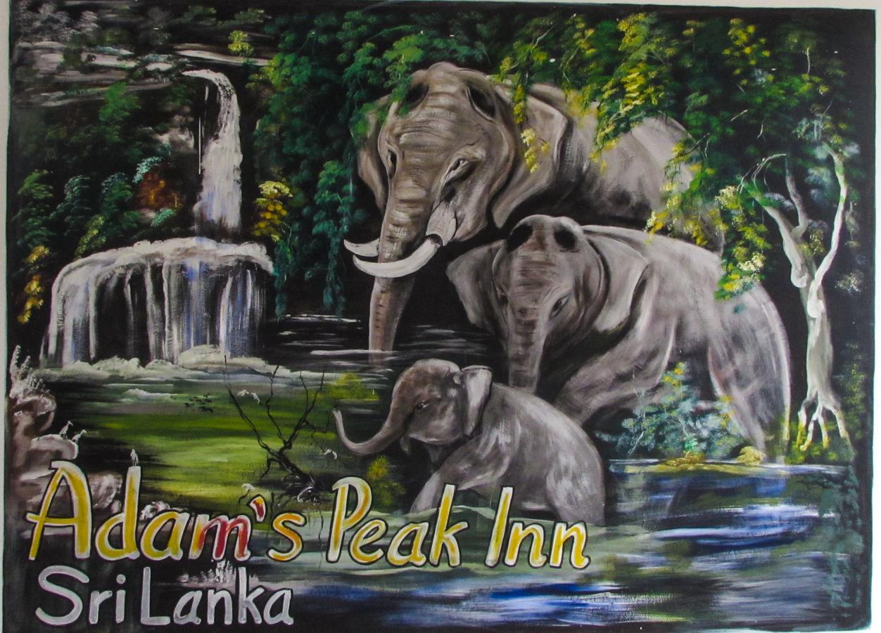 Adams Peak Inn Наллатания Экстерьер фото